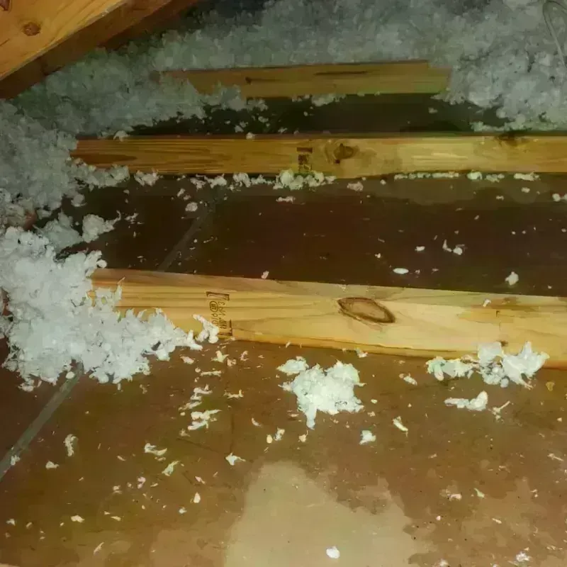 Attic Water Damage in Downey, CA