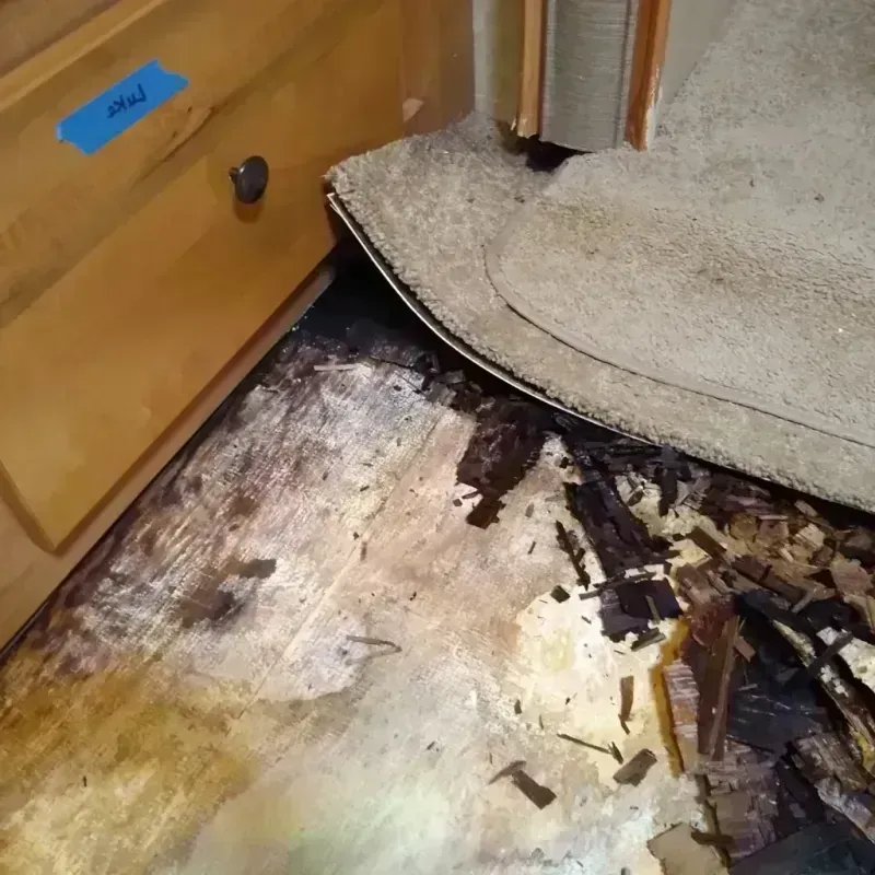 Wood Floor Water Damage in Downey, CA